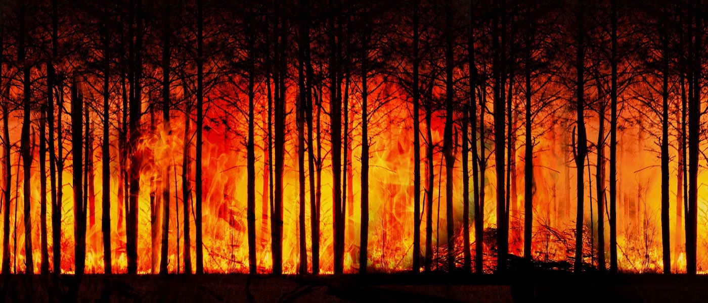 amazzonia-in-fiamme