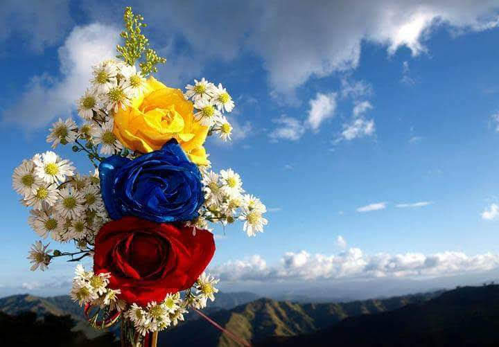 Para que florezca la primavera