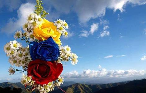 Para que florezca la primavera